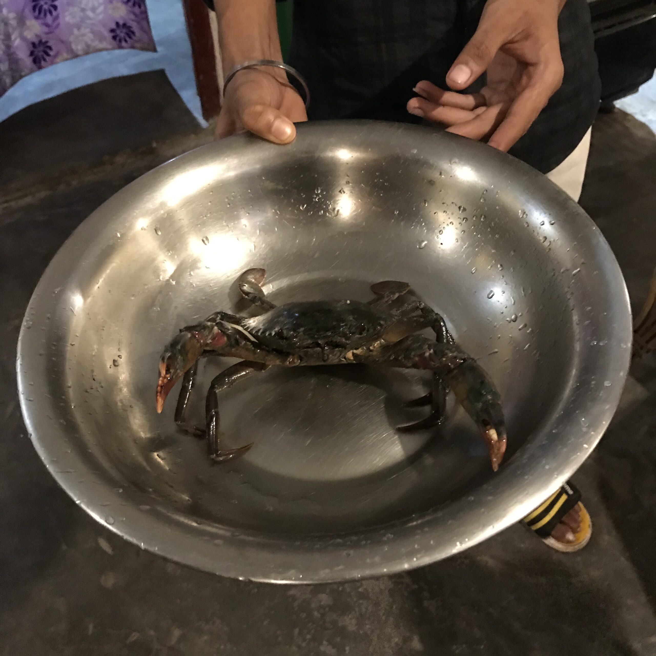 【インド在住者でないと行けない!?】”アンダマン諸島”旅行!②Havelock島編 さとり世代の株日記 資産運用 株 投資 資産形成 株式投資 海外駐在 徒然草